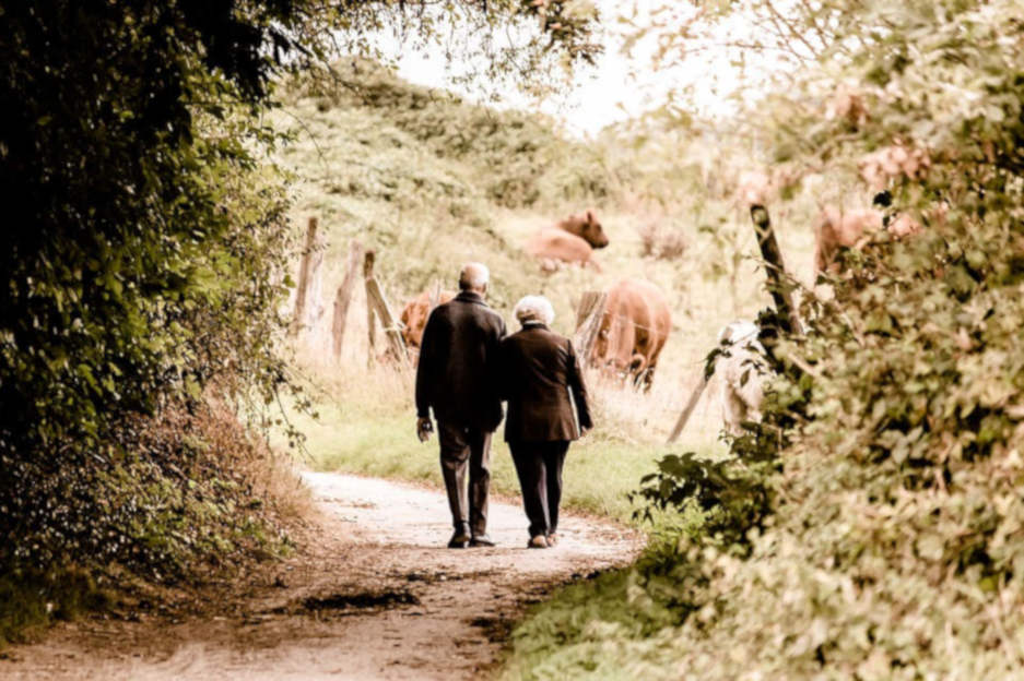 Des seniors sur le chemin