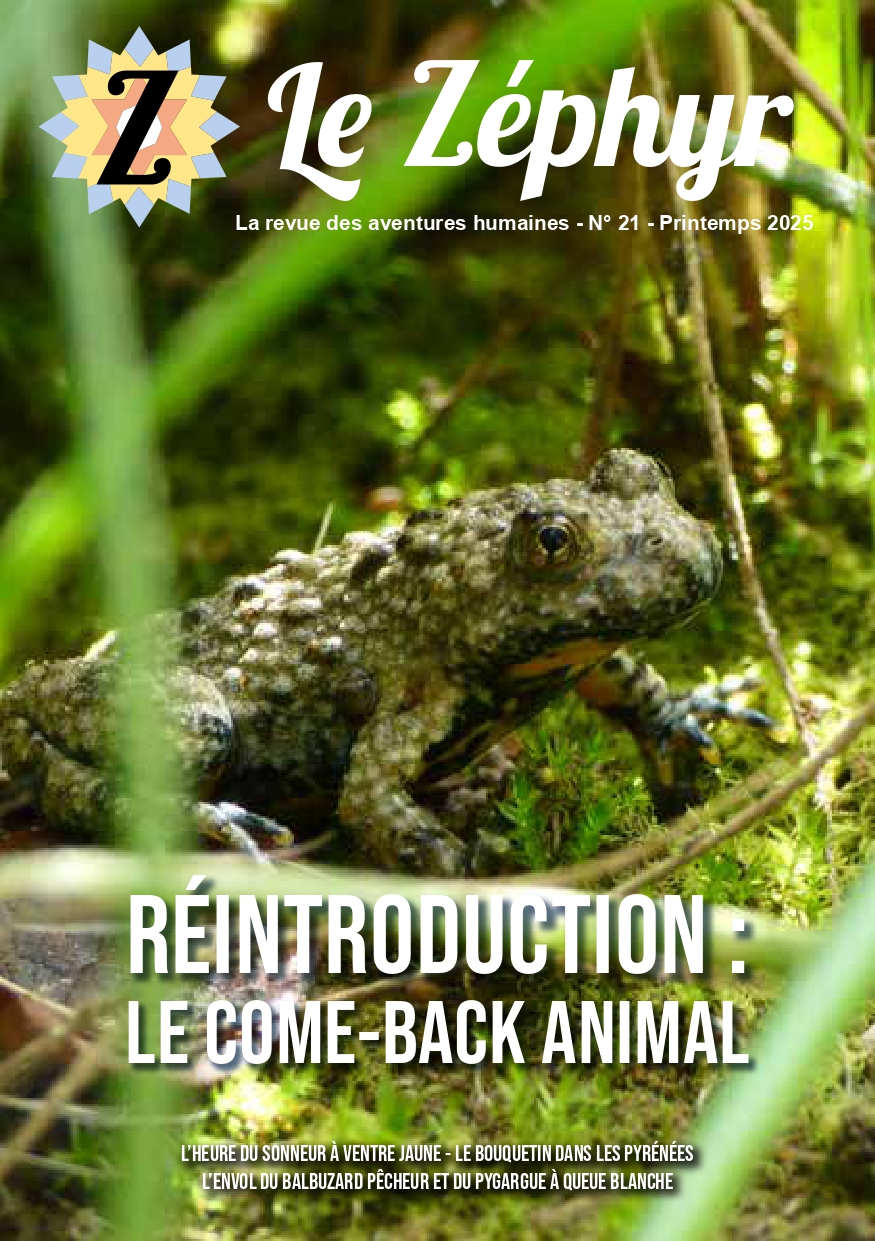 couverture zéphyr