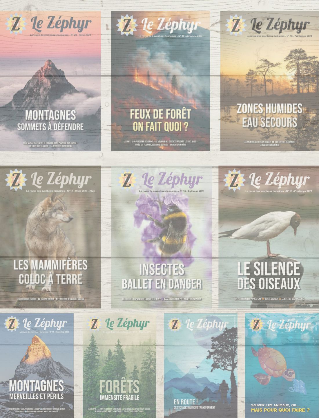 Collection : les 10 derniers numéros du mag !