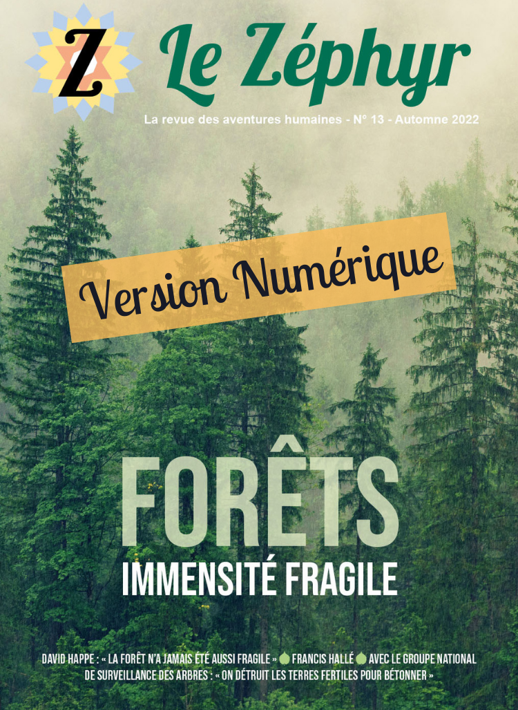 forêts : version numérique