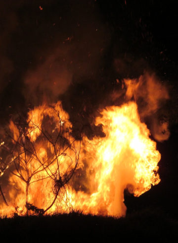 feu de forêts
