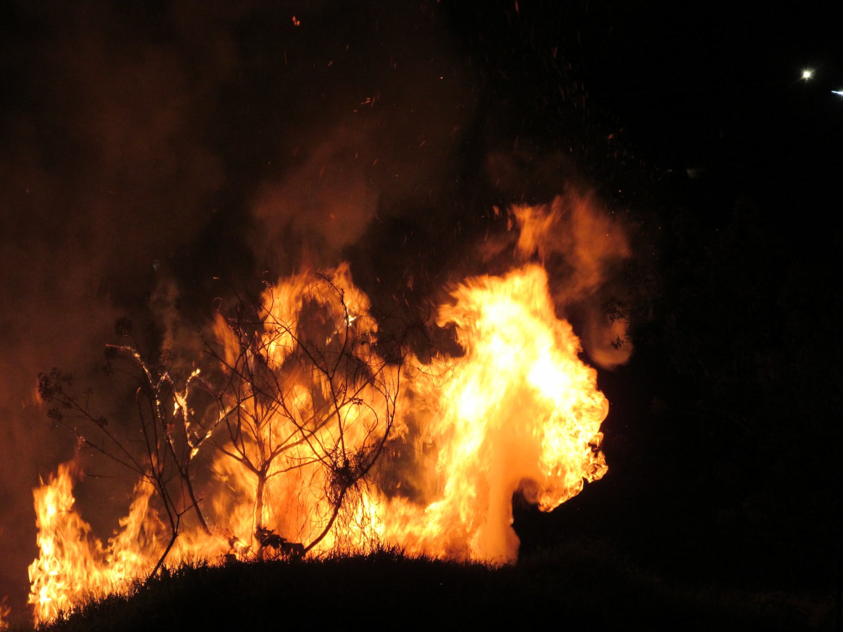 feu de forêts