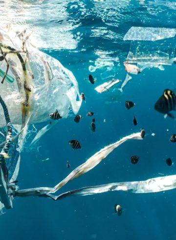 mer de plastique