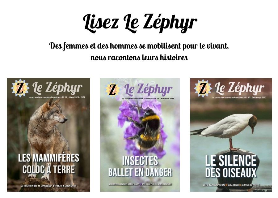 les couvertures du Zéphyr