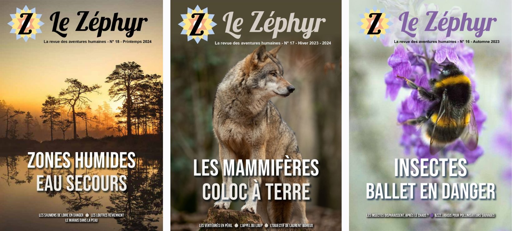Le Zéphyr, média indépendant