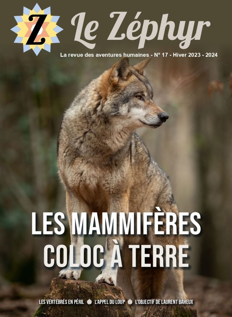 Couverture Zéphyr 17