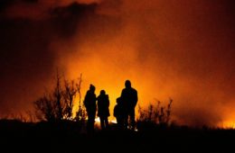 Feu de forêt