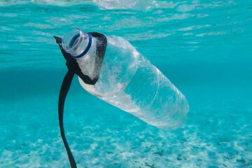 déchets dans l'eau