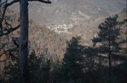 Forêt en vallée de Veauche