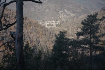 Forêt en vallée de Veauche
