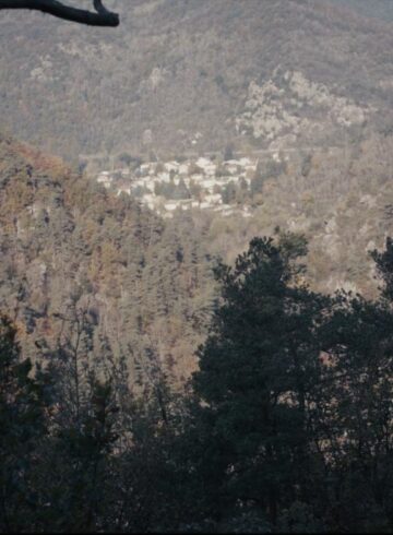 Forêt en vallée de Veauche