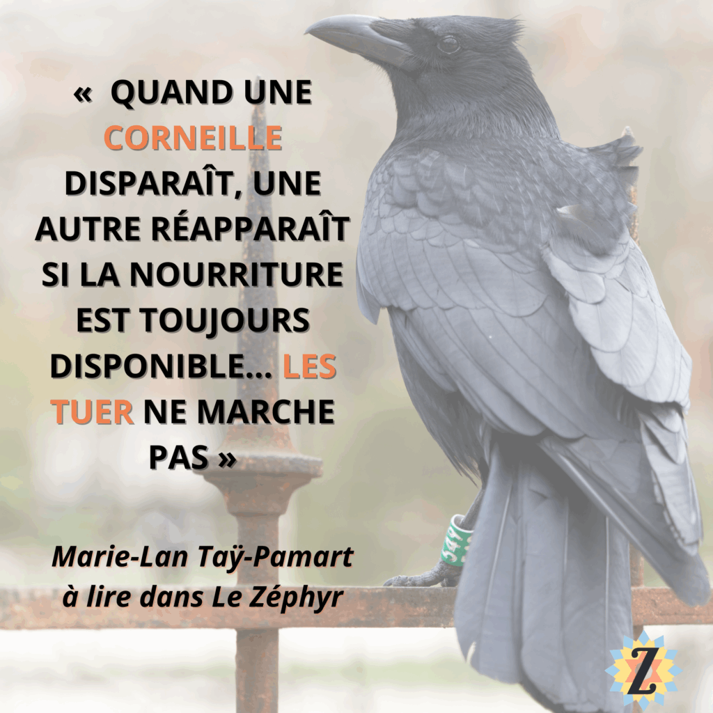 corneille