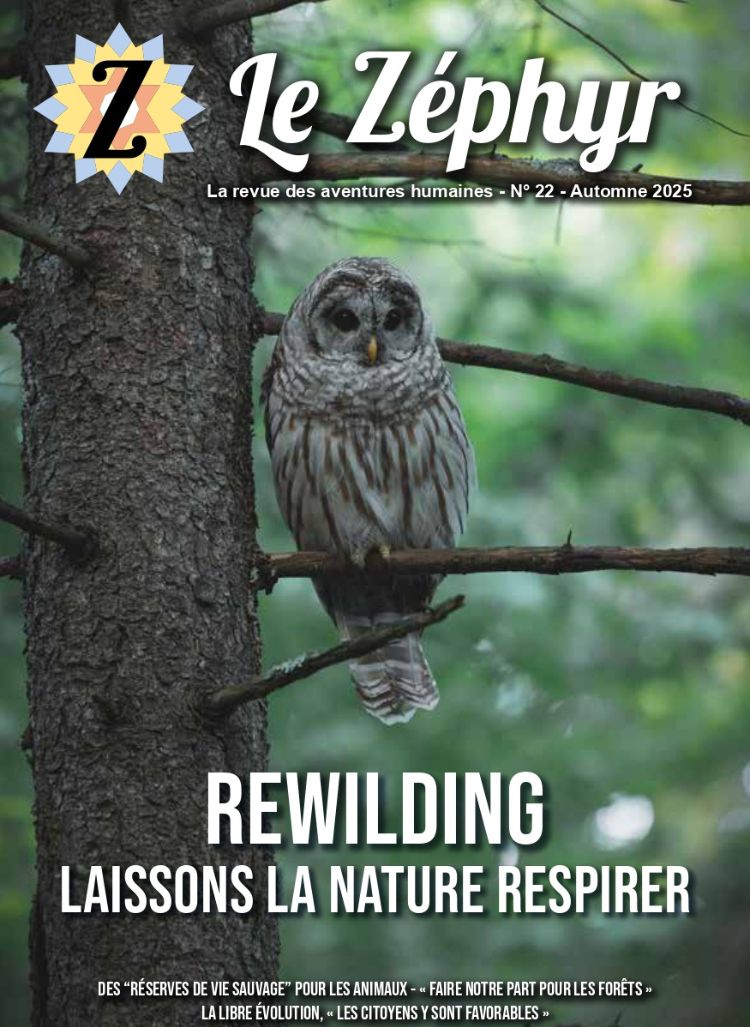 couverture zéphyr 22
