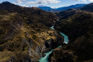 patagonia into the rewild