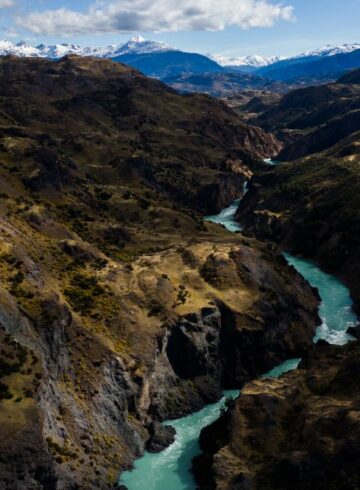 patagonia into the rewild
