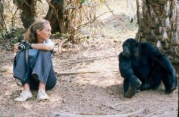 Jane Goodall
