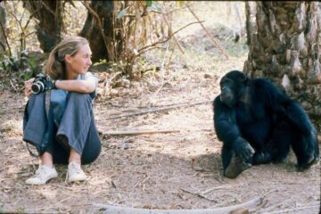 Jane Goodall