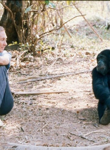 Jane Goodall