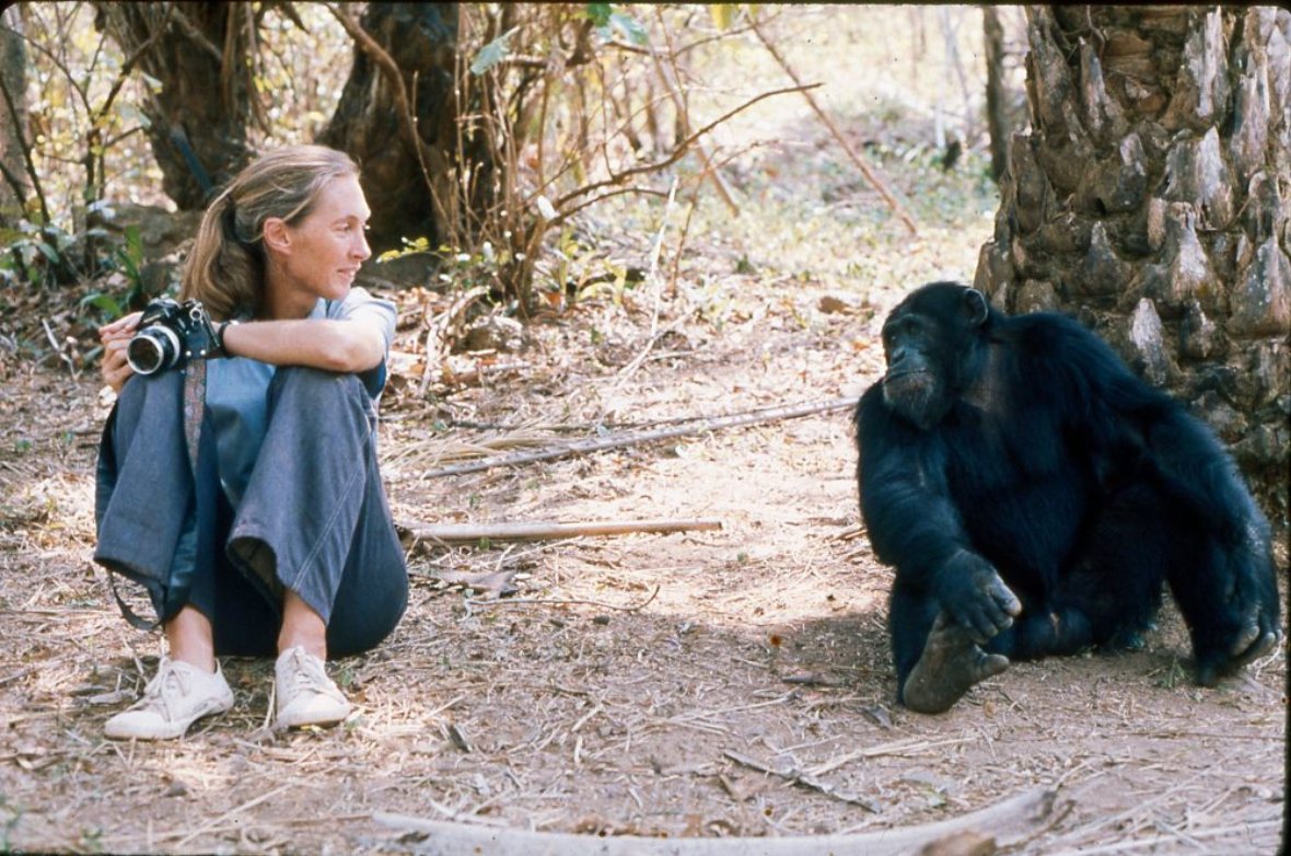 Jane Goodall