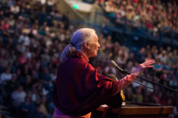 Jane Goodall
