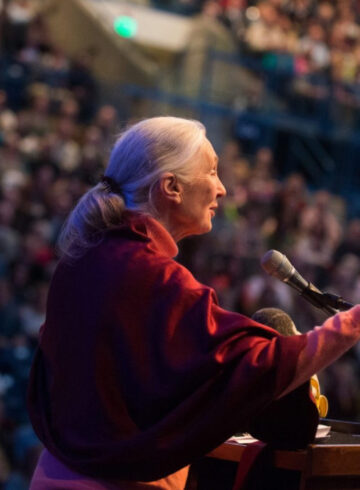 Jane Goodall