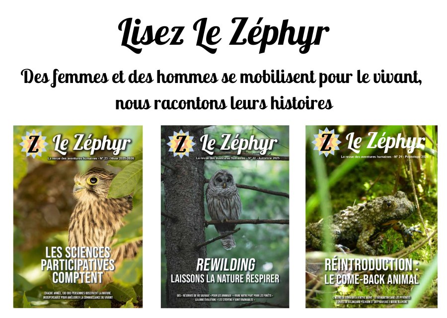 je lis Le Zéphyr