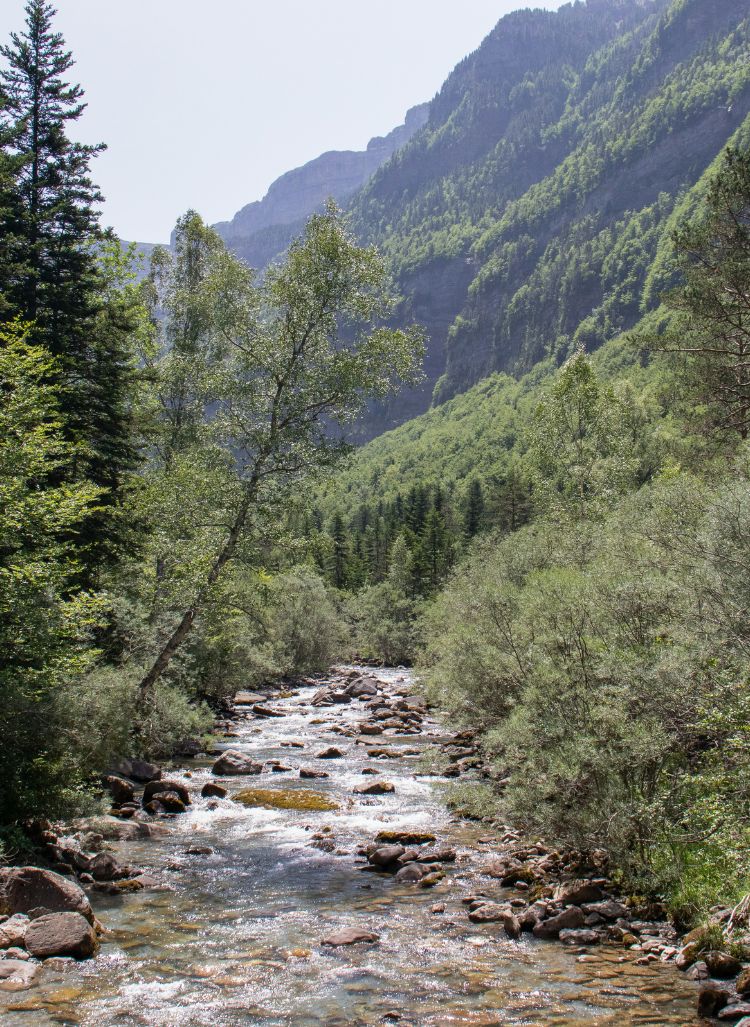 Rivières