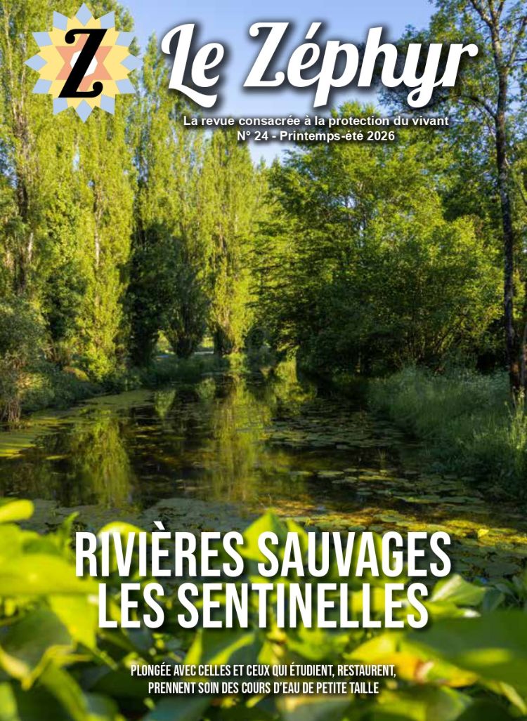 couverture le zéphyr n°24