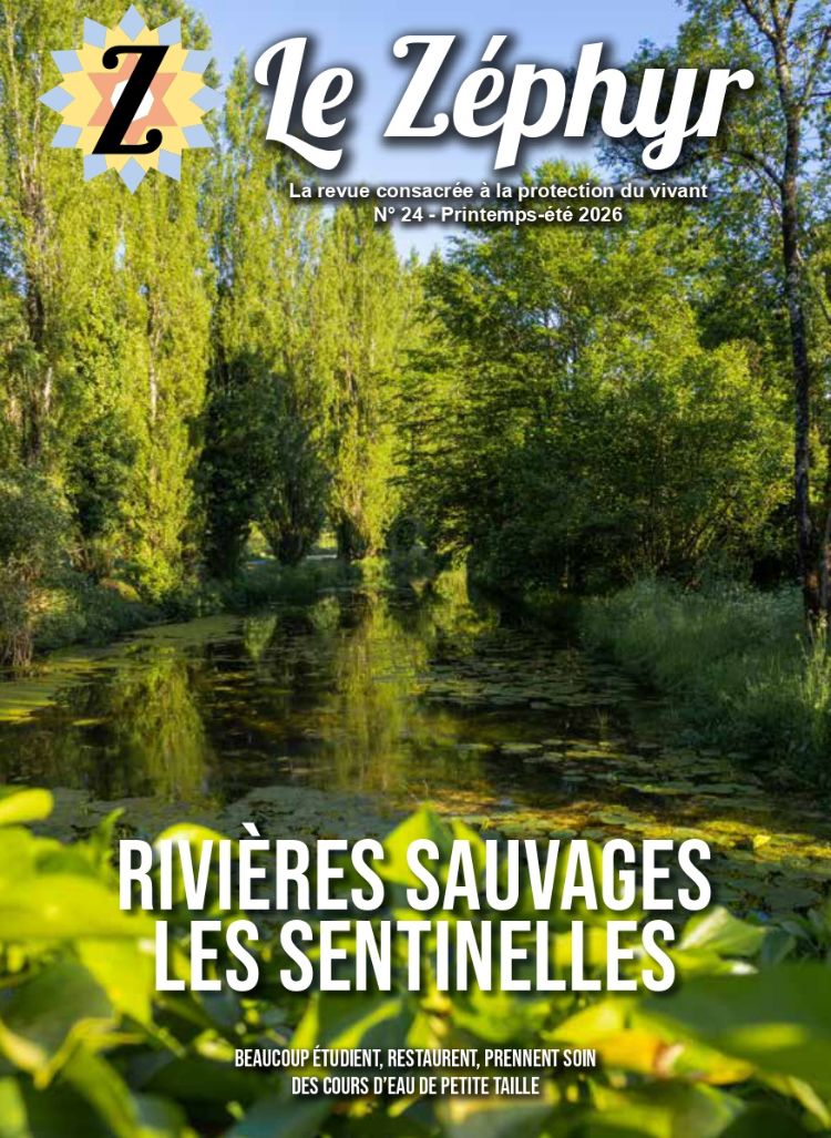 couverture le zéphyr n°24