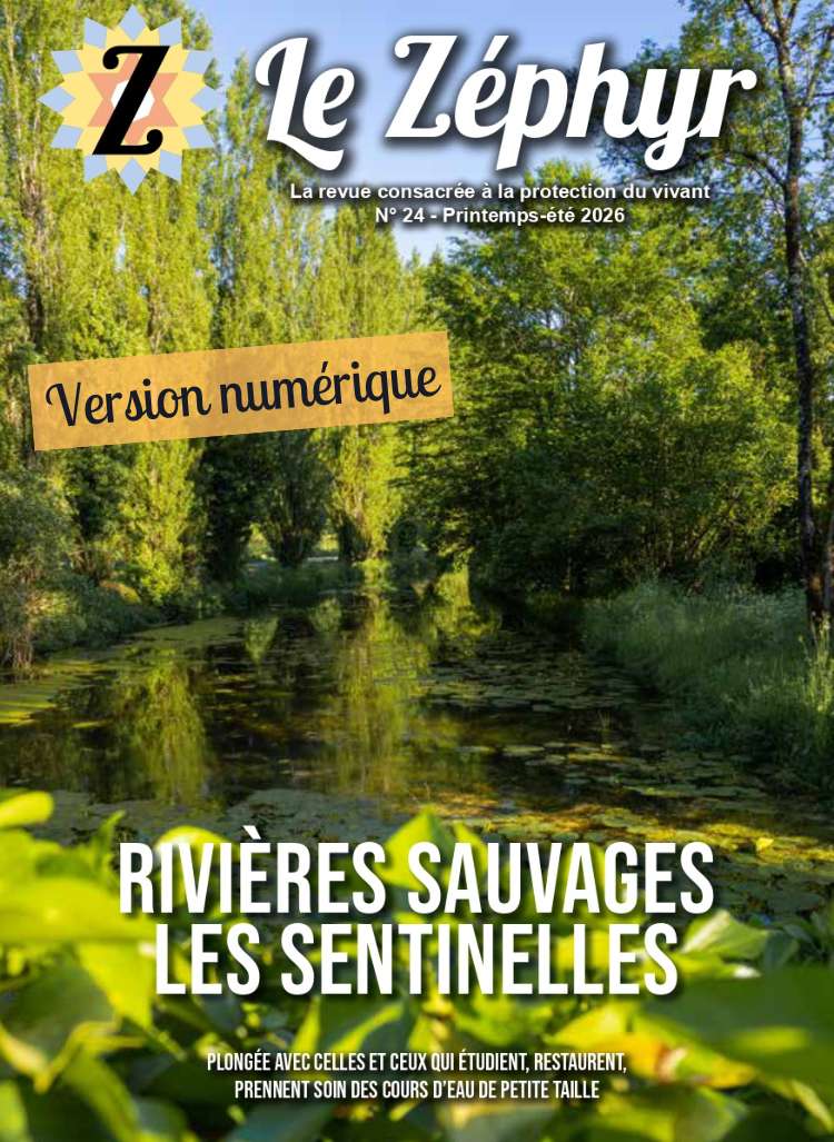 couverture zéphyr 24 en version numérique