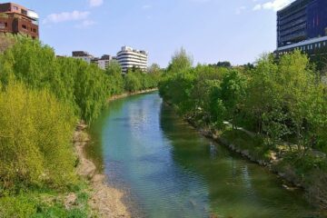 Le Lez, à Montpellier / © Bruno Barral