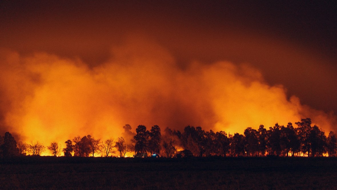 feu de forêt