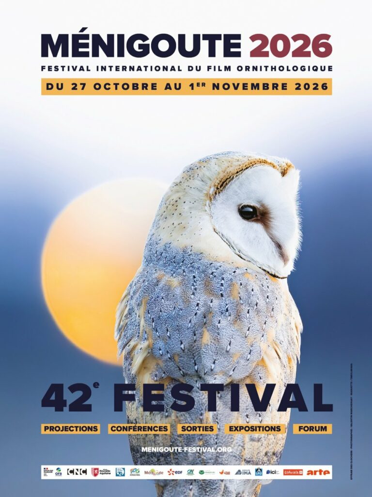 Affiche du FIFO
