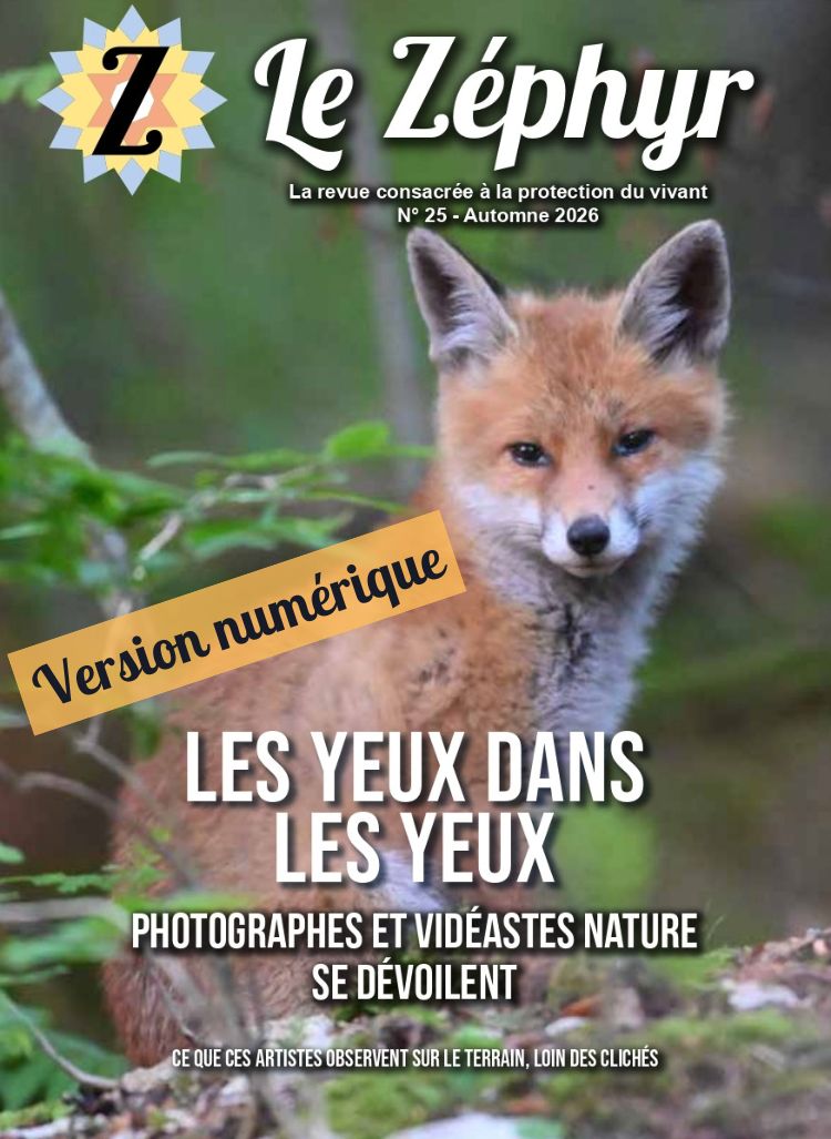 Couverture le Zéphyr 25 numérique